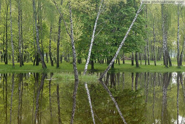 Kolodyazhne. Manor park Volyn Region Ukraine photos