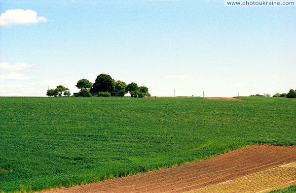 Siltse. Volyn farm Volyn Region Ukraine photos