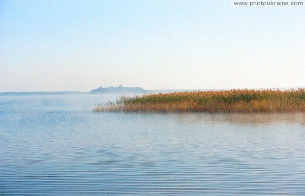 Shatsky park. Jungle thicket at Svitiaz lake Volyn Region Ukraine photos