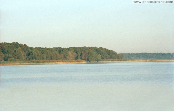 Shatsky Park  lakes region Volyn Region Ukraine photos