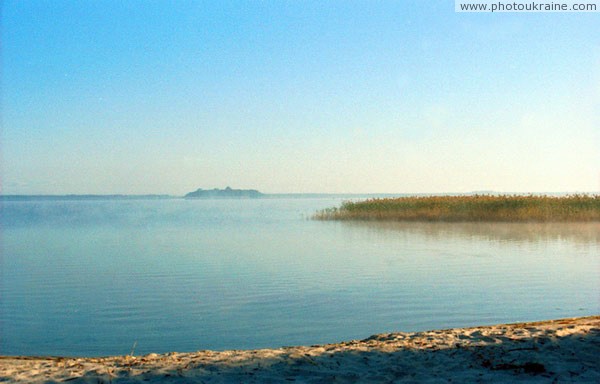 Shatsky park. Sandy beach of Svityaz Volyn Region Ukraine photos