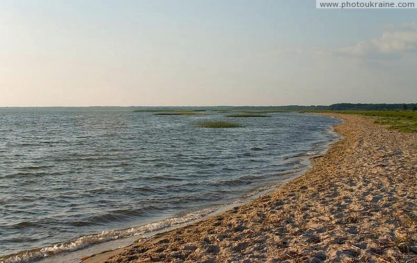 Шацкий парк. Пулемецкое озеро Волынская область Фото Украины