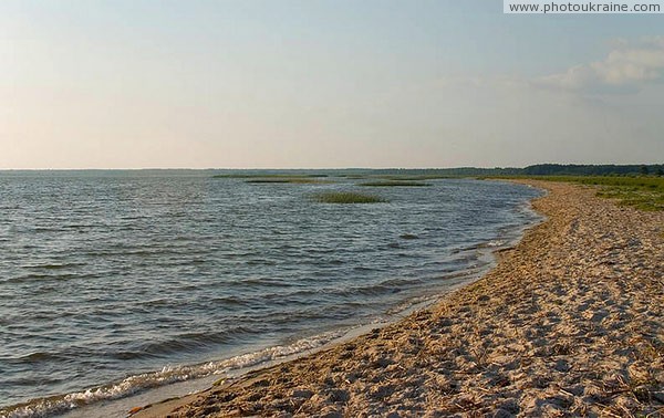 Shatsky park. Pulemetskoe lake Volyn Region Ukraine photos