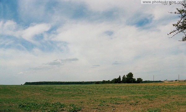 Forest island Volyn Region Ukraine photos