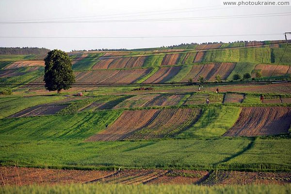 Areas of southern Volyn Volyn Region Ukraine photos