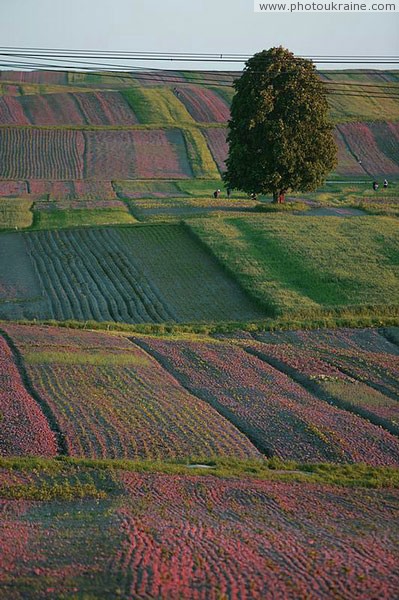 Boundary  this is sacred Volyn Region Ukraine photos