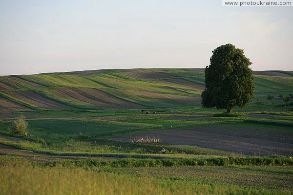 Sites townspeople Volyn Region Ukraine photos