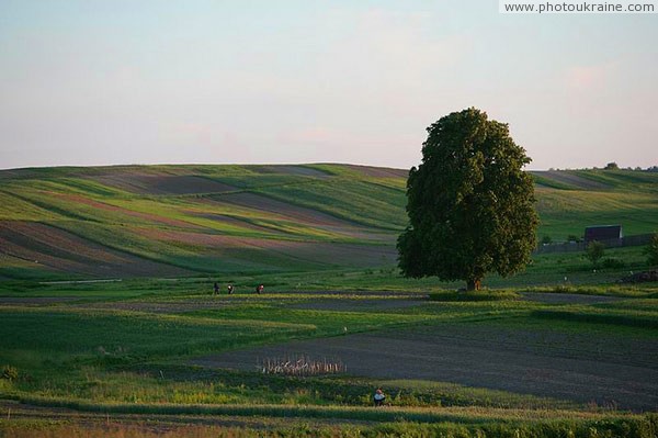 And one in field  warrior Volyn Region Ukraine photos