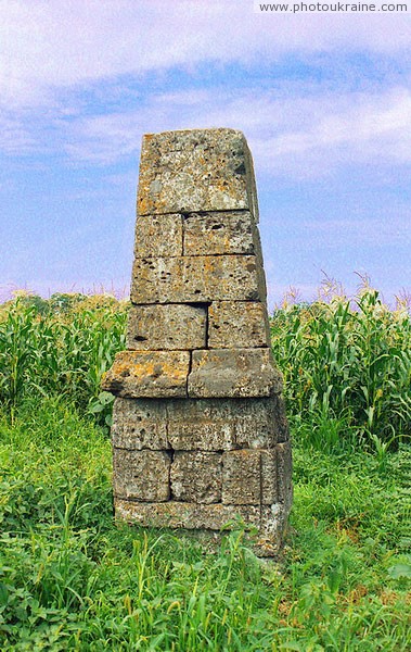 Voloske. Ekaterina's mile in cornfield Dnipropetrovsk Region Ukraine photos