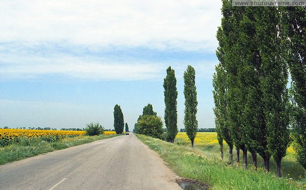 Voloske. Near Dnieper highway Dnipropetrovsk Region Ukraine photos