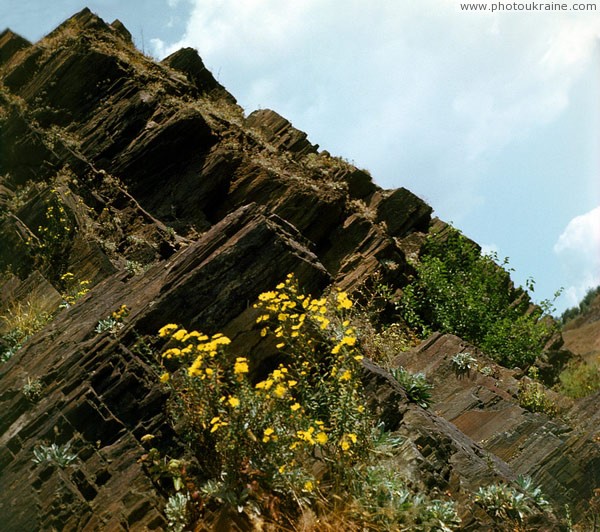 Kryvyi Rih. Iron and flowers Dnipropetrovsk Region Ukraine photos