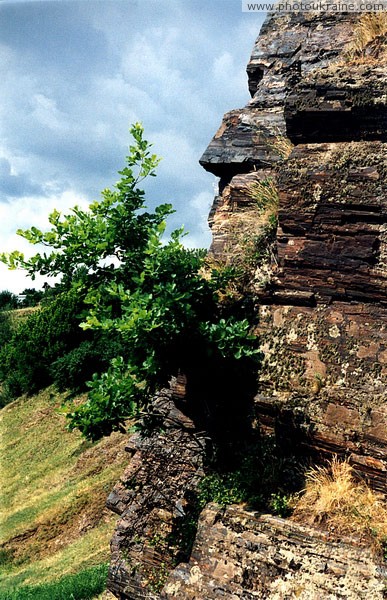 Kryvyi Rih. Hard bush Dnipropetrovsk Region Ukraine photos