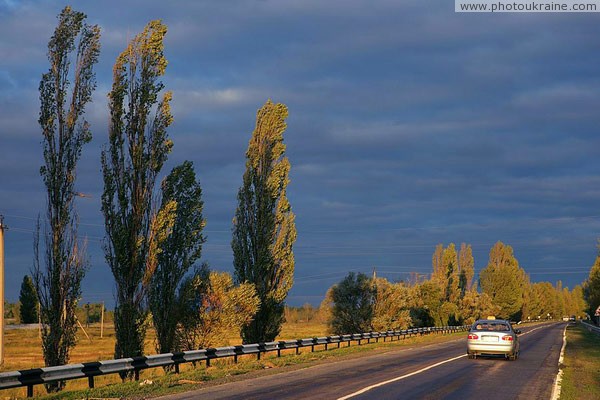 Road at sunset Dnipropetrovsk Region Ukraine photos