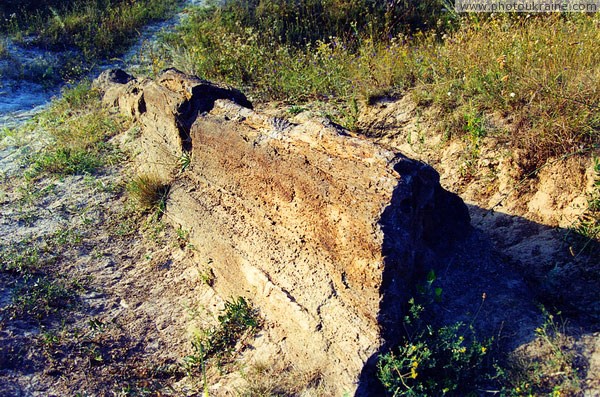 Oleksievo-Druzhkivka. Trunk of petrified wood Donetsk Region Ukraine photos