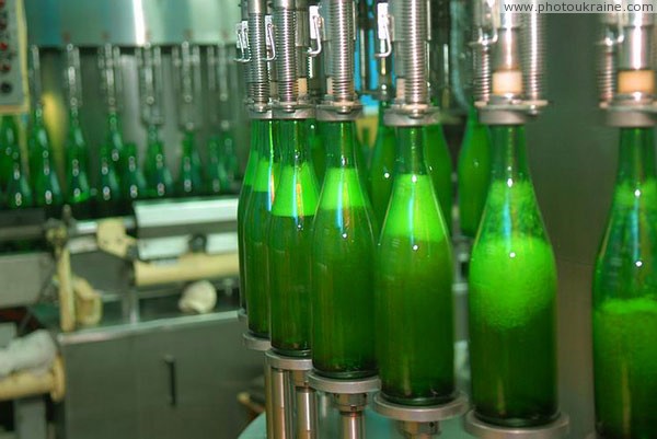 Artemivsk. Conveyor bottling of sparkling wine Donetsk Region Ukraine photos