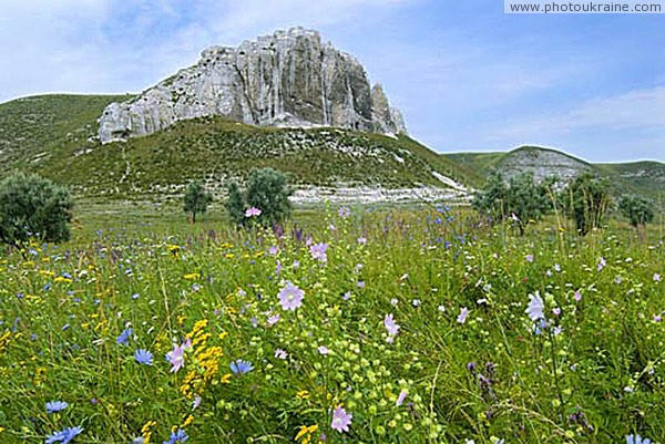 Bilokuzmynivka. Late Cretaceous rock Donetsk Region Ukraine photos