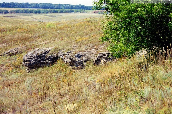 Guselschykove. Outputs Pontian limestone on right bank of Gruzkyi Elanchik Donetsk Region Ukraine photos