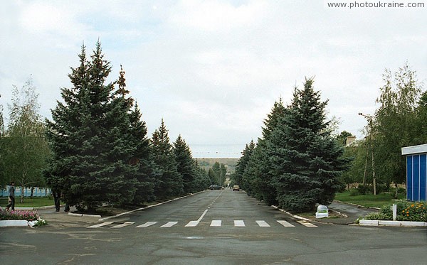 Dokuchaevsk. Central town street Donetsk Region Ukraine photos