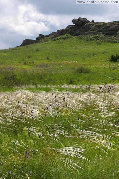 Kamiani Mohyly Reserve. Feather Donetsk Region Ukraine photos