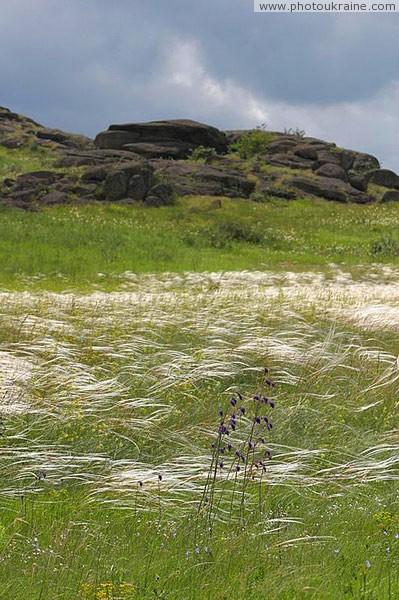 Kamiani Mohyly Reserve. Feather Donetsk Region Ukraine photos