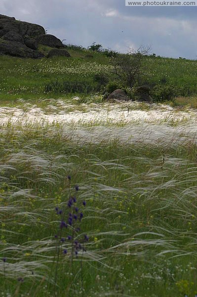 Kamiani Mohyly Reserve. Feather Donetsk Region Ukraine photos