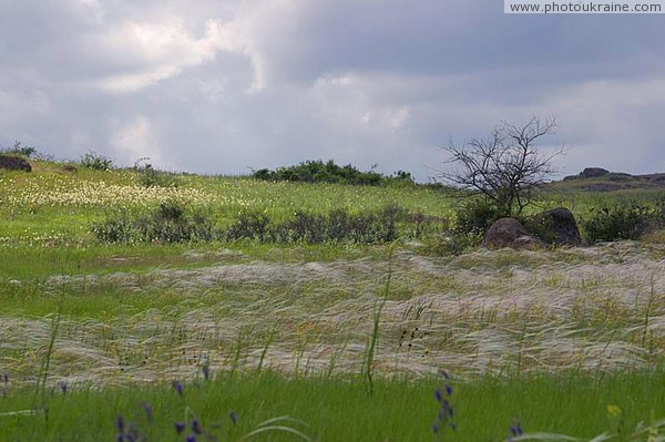 Kamiani Mohyly Reserve. Feather Donetsk Region Ukraine photos