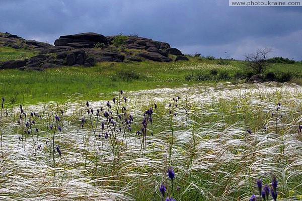 Kamiani Mohyly Reserve. Feather Donetsk Region Ukraine photos