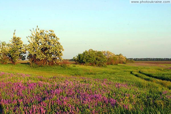 Kamiani Mohyly Reserve. Landscape Donetsk Region Ukraine photos