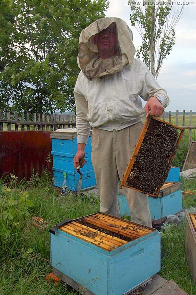 Kamiani Mohyly Reserve. Apiarist Donetsk Region Ukraine photos