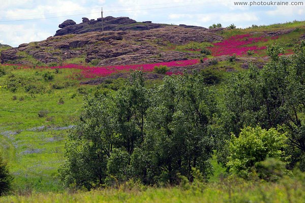 Kamiani Mohyly Reserve. Landscape Donetsk Region Ukraine photos