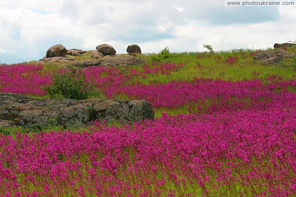 Kamiani Mohyly Reserve. Animate and inanimate worlds Donetsk Region Ukraine photos