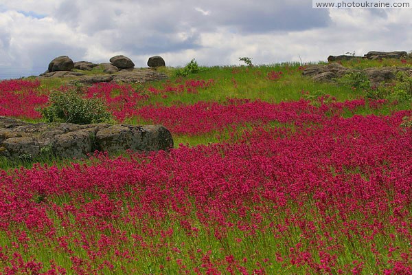 Kamiani Mohyly Reserve. Animate and inanimate worlds Donetsk Region Ukraine photos