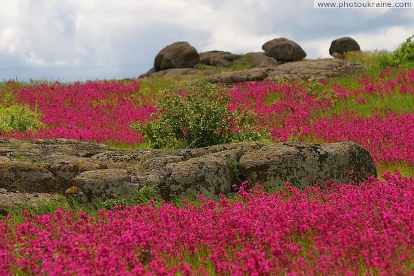 Kamiani Mohyly Reserve. Animate and inanimate worlds Donetsk Region Ukraine photos