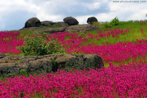 Kamiani Mohyly Reserve. Animate and inanimate worlds Donetsk Region Ukraine photos