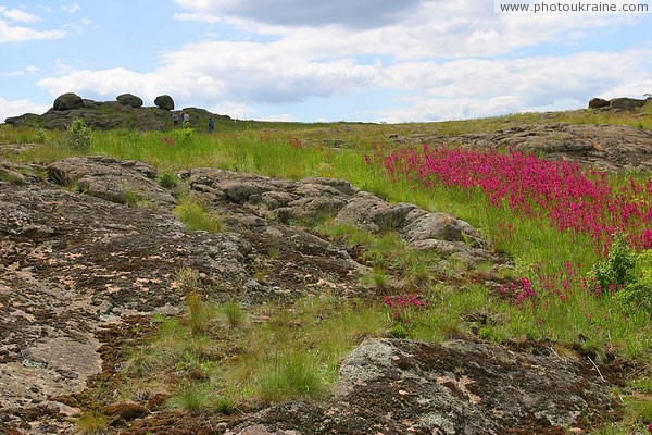 Kamiani Mohyly Reserve. Animate and inanimate worlds Donetsk Region Ukraine photos