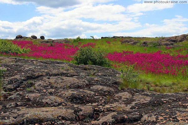 Kamiani Mohyly Reserve. Animate and inanimate worlds Donetsk Region Ukraine photos