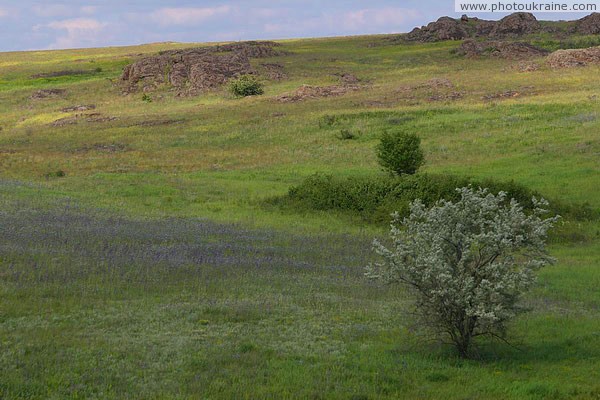 Kamiani Mohyly Reserve. Preservation landscape Donetsk Region Ukraine photos