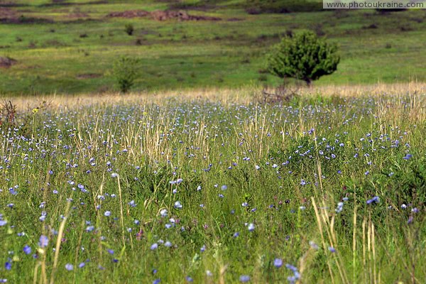 Kamiani Mohyly Reserve. Preservation landscape Donetsk Region Ukraine photos