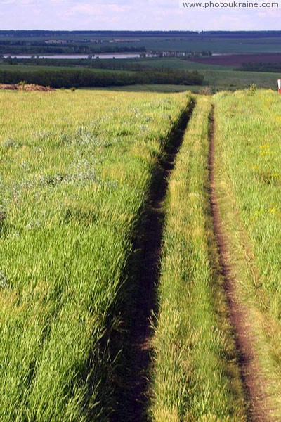 Kamiani Mohyly Reserve. Steppe road Donetsk Region Ukraine photos