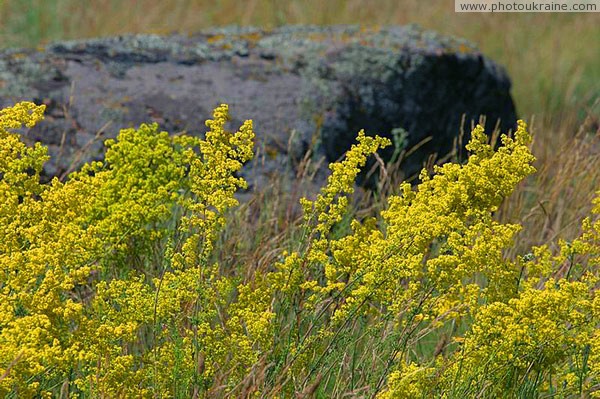 Kamiani Mohyly Reserve. Granite beauty Donetsk Region Ukraine photos