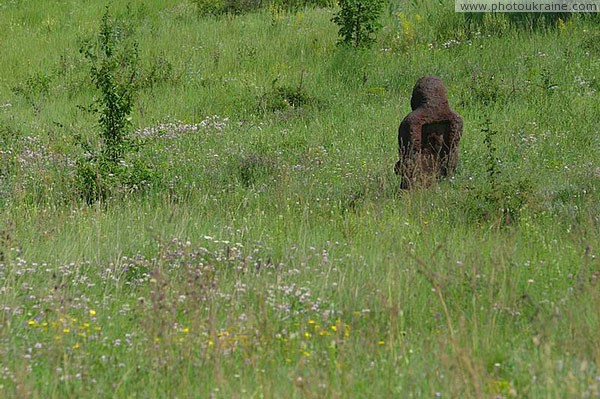 Kamiani Mohyly Reserve. Reserve symbol Donetsk Region Ukraine photos