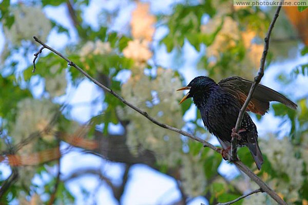 Kamiani Mohyly Reserve. Shouted out Donetsk Region Ukraine photos