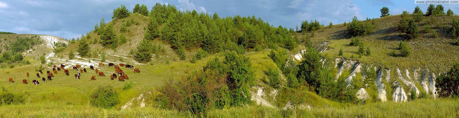 Kreidiana Flora Reserve. Prydonetski gullies Donetsk Region Ukraine photos
