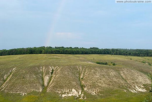 Kreidiana Flora Reserve. White-green reserve gamma Donetsk Region Ukraine photos