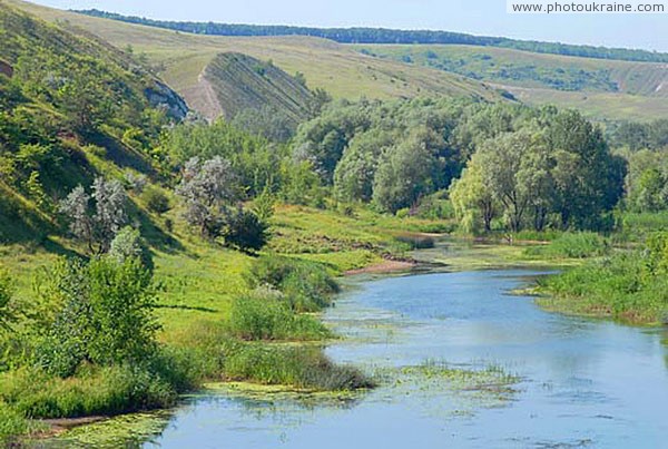 Kreidiana Flora Reserve. Steep slopes of Siverskyi Donets Donetsk Region Ukraine photos