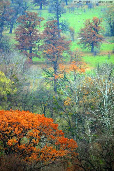 Park Sviati Gory. Autumn in park Donetsk Region Ukraine photos