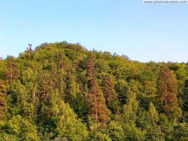 Park Sviati Gory. Wooded chalk downs Donetsk Region Ukraine photos