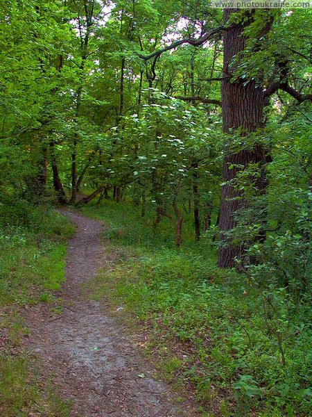 Park Sviati Gory. At park's trail Donetsk Region Ukraine photos