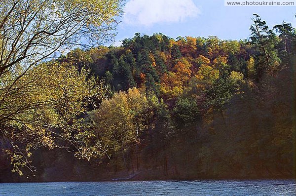 Park Sviati Gory. Mixed forest park Donetsk Region Ukraine photos