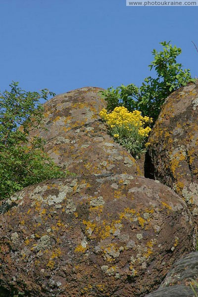 Starolaspa. Lichen granites Donetsk Region Ukraine photos